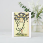 ビューティフルミカエルマスデイジーバイネリーベンソン ポストカード (スタンド正面)