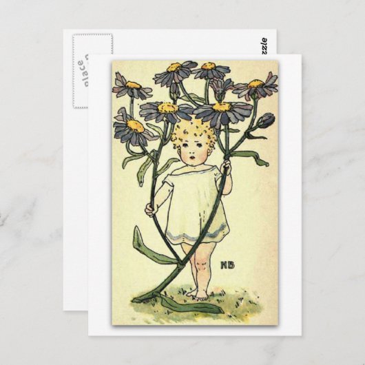 ビューティフルミカエルマスデイジーバイネリーベンソン ポストカード (正面/裏面)