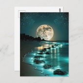 ビューティフルムーンビーチ海スターリーナイト ポストカード (正面/裏面)