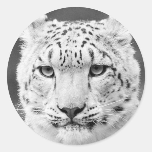 ビューティフルユキヒョウ白黒ポートレート ラウンドシール (正面)