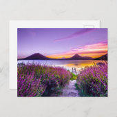 ビューティフルラベンダーフィールドビューマウンテンズ ポストカード (正面/裏面)
