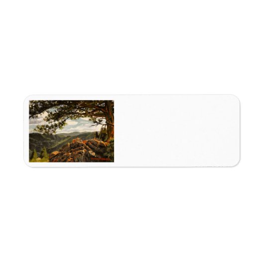 ビューティフルルックアウトマウンテンコロラドランドスケープ ラベル (正面)