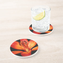 ビューティフルレッドオレンジアジアンリリーグランパラディソ コースター