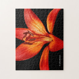 ビューティフルレッドオレンジアジアンリリーグランパラディソ ジグソーパズル