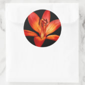 ビューティフルレッドオレンジアジアンリリーグランパラディソ ラウンドシール (バッグ)