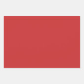 ビューティフルレッド(鳥)ショウジョウコウカンチョウオンスノウィーブランチ冬 ラッピングペーパーシート (正面2)