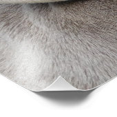 ビューティフルワイマラナー狩りドッグ フォトプリント            (角)