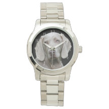 ビューティフルワイマラナー狩りドッグ