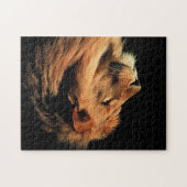 ビューティフルワイルドライフジグソーパズル ジグソーパズル (横)