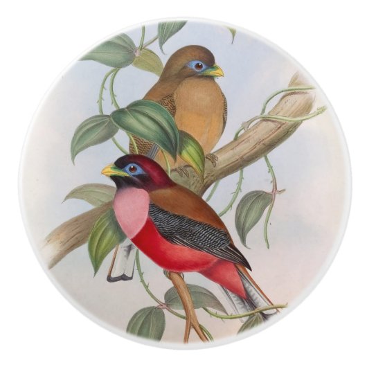 ビューティフルヴィンテージバモダンリズファームハウス セラミックノブ (正面)