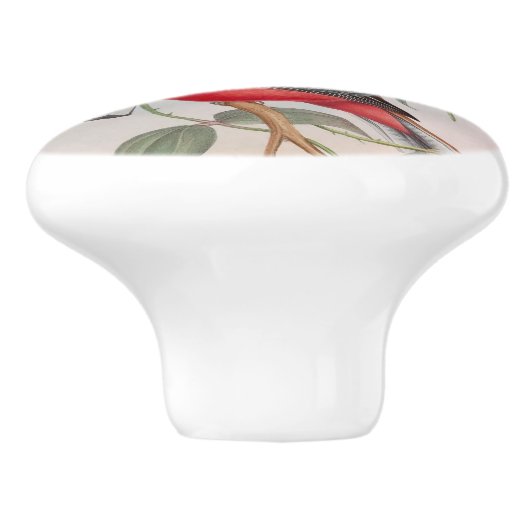 ビューティフルヴィンテージバモダンリズファームハウス セラミックノブ (側面)