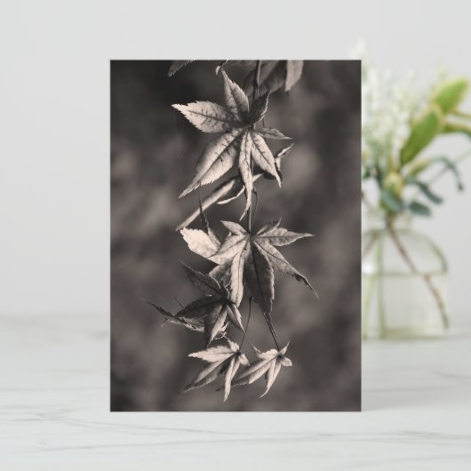 ビューティフル日本のメープルリーフポートレートセピア シーズンカード (スタンド正面)