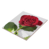 ビューティフル深いレッドローズフラワーフローラ タイル (側面)