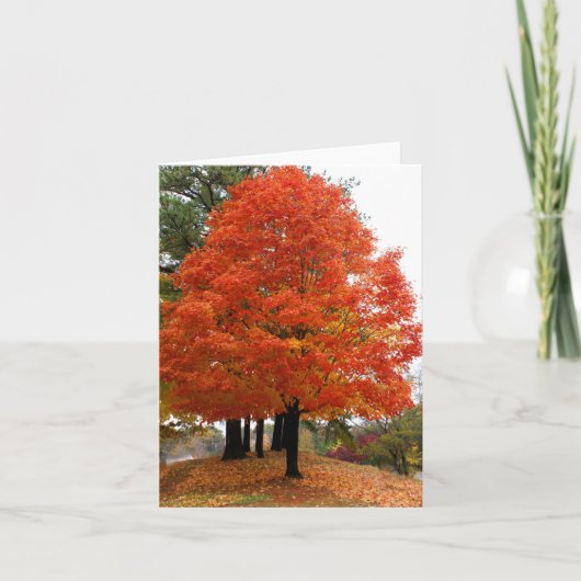 ビューティフル秋ノテカード カード (正面)