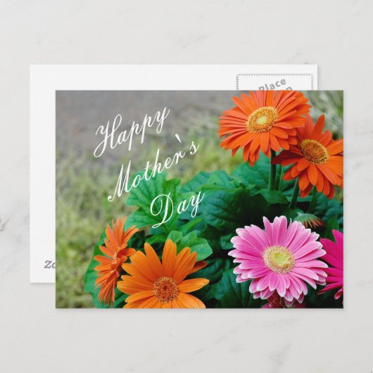 ビューティフ鮮やかマザーズデイガーベラデイジーカード ポストカード (正面/裏面)