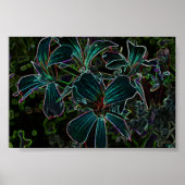 ビューティー ポスター (正面)