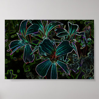 ビューティー ポスター