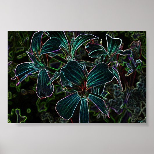 ビューティー ポスター (正面)