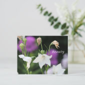 ビューティー ポストカード (スタンド正面)