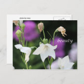 ビューティー ポストカード (正面/裏面)