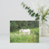 ビューティー ポストカード (スタンド正面)