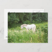 ビューティー ポストカード (正面/裏面)