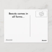 ビューティー ポストカード (裏面)