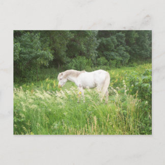 ビューティー ポストカード