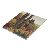 ビュートショーモンPark、パリ1908年の道(油 タイル (側面)