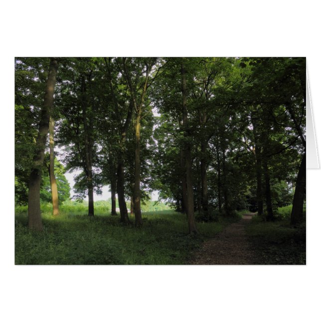 ビュートパークカーディフ (正面横)