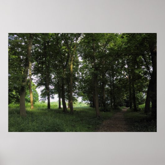 ビュートパークカーディフ ポスター (正面)