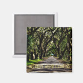 ビューフォートサウスカロライナ磁石 マグネット (正面/裏面)