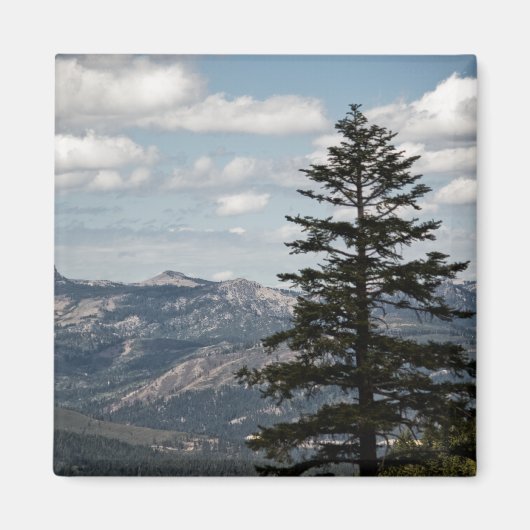 ビューマグネット付きシート マグネット (正面)