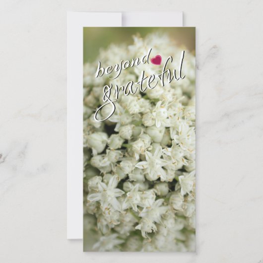 ビヨンドグラントトールフラットサンキューカード サンキューカード (正面)