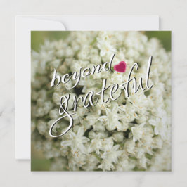 ビヨンドグラントフラットサンキューカード サンキューカード
