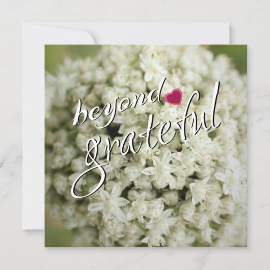 ビヨンドグラントフラットサンキューカード サンキューカード (正面)