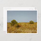 ビラルレ語（スペイン） ポストカード (正面/裏面)