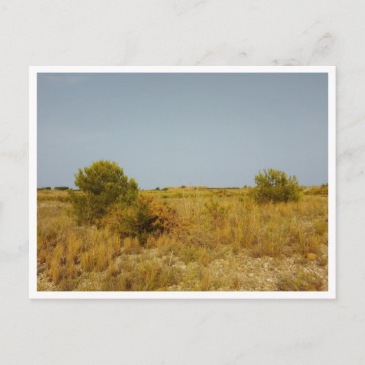 ビラルレ語（スペイン） ポストカード (正面)