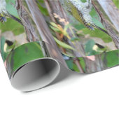 ビリディス ラッピングペーパー (ロールコーナー)