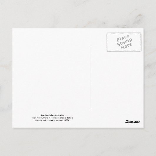 ビリンビ ポストカード (裏面)