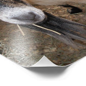 ビリーヤギの干し草食べ物のクローズアップ フォトプリント            (角)