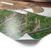 ビリーヤギ フォトプリント            (角)