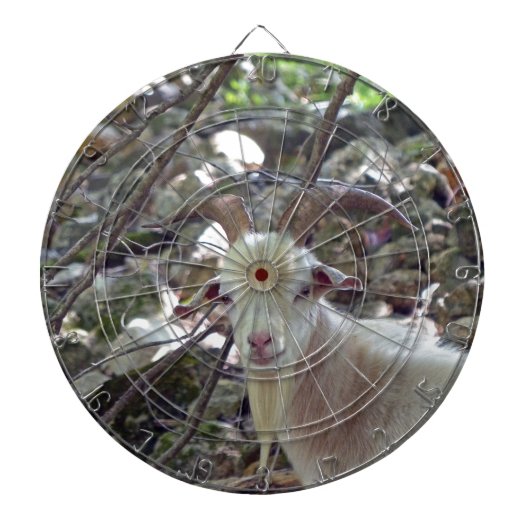 ビリー・ヤギ ダーツボード (正面)