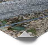 ビリー・ヤギ ポスター (角)