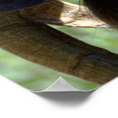 ビリー・ヤギ ポスター (角)