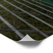 ビリー・ヤギ ポスター (角)