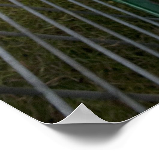 ビリー・ヤギ ポスター (角)