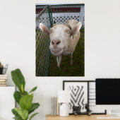 ビリー・ヤギ ポスター (ホームオフィス)