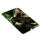 ビリー・ヤギ マグネット (右側)