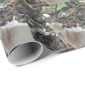 ビリー・ヤギ ラッピングペーパー (ロールコーナー)